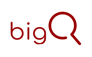 Bigq Logo