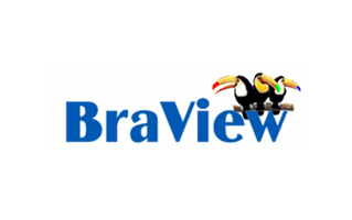 Braview Logo