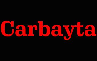 Carbayta Logo