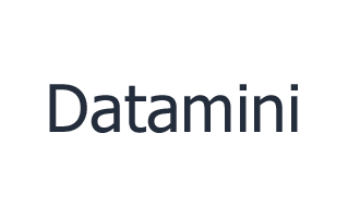 Datamini Logo