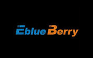 Eblue-berry Logo