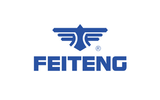 Feiteng Logo