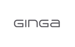 Ginga Logo