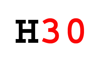 H30 Logo