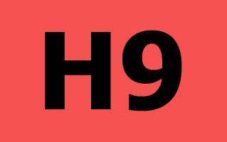H9 Logo