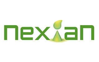 Nexian Logo