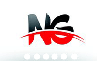 Ng Logo
