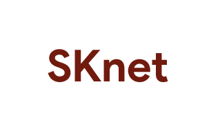 Sknet Logo
