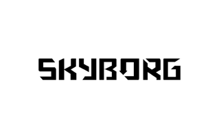 Skyborg Logo