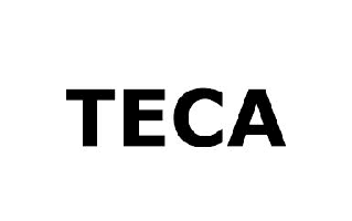 Teca Logo